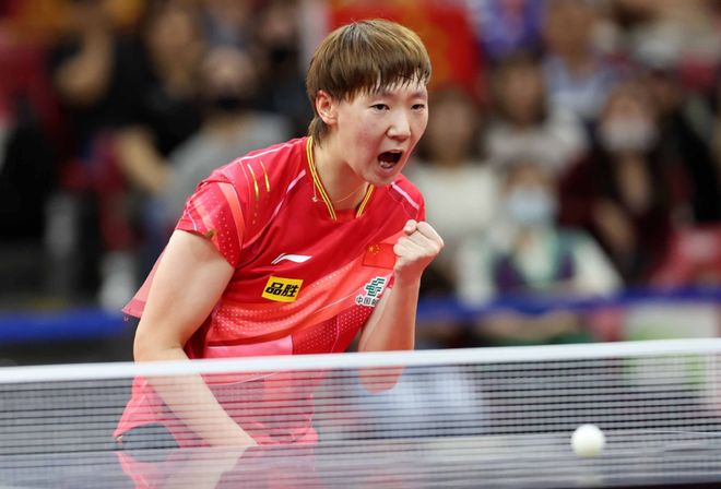 力的环节 力的环节