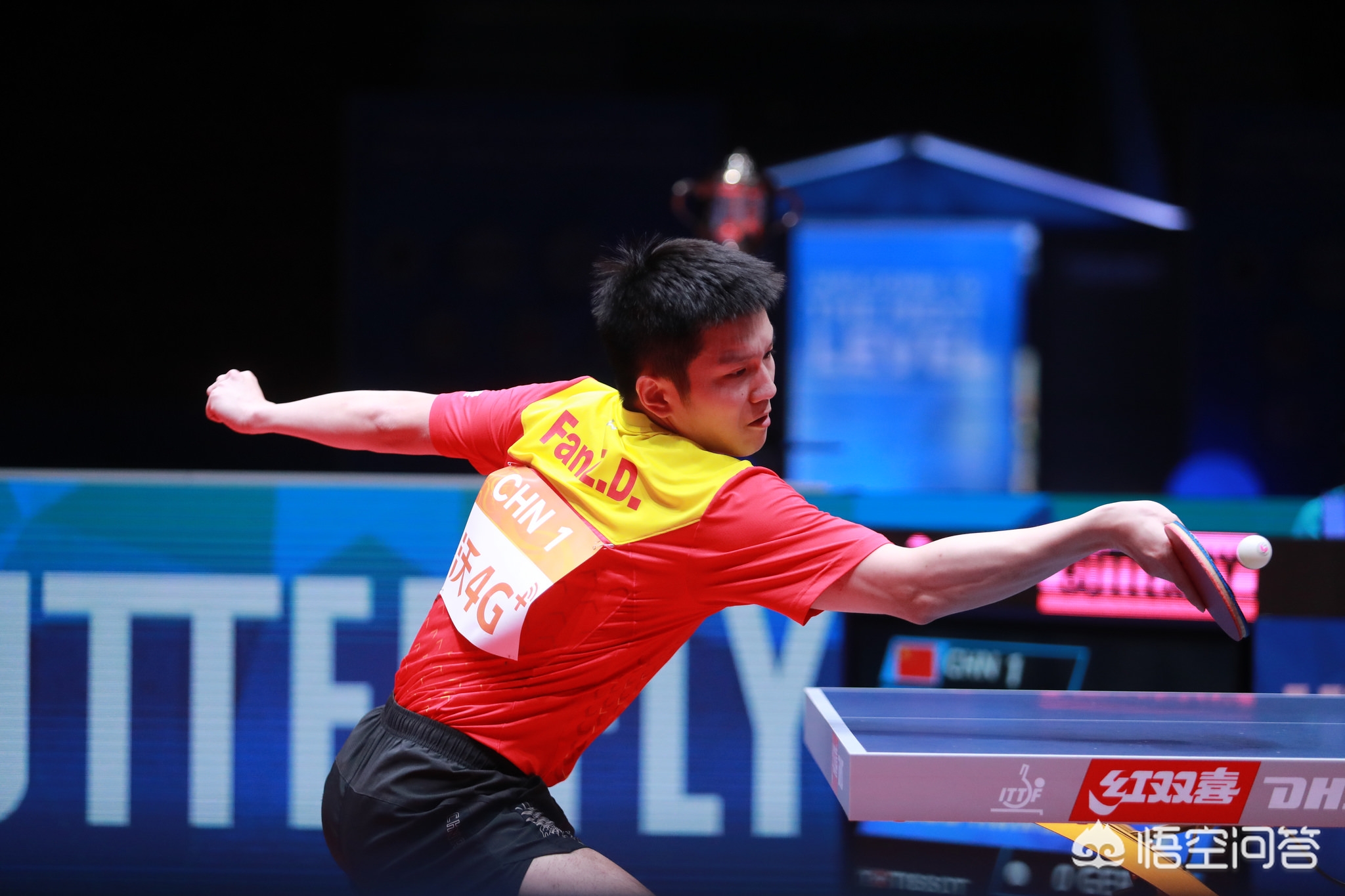 引发球迷和 引发球迷和